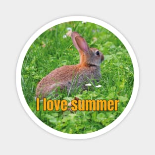 I Adore Summer! Magnet